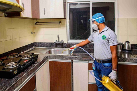 Kitchen Deep Cleaning